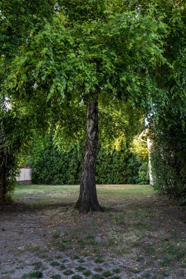 Pávai Apartman Hajdúszoboszló Exterior foto